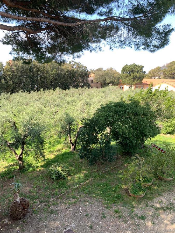 Отель San Giuseppe Casa Per Ferie Кверчинелла Экстерьер фото